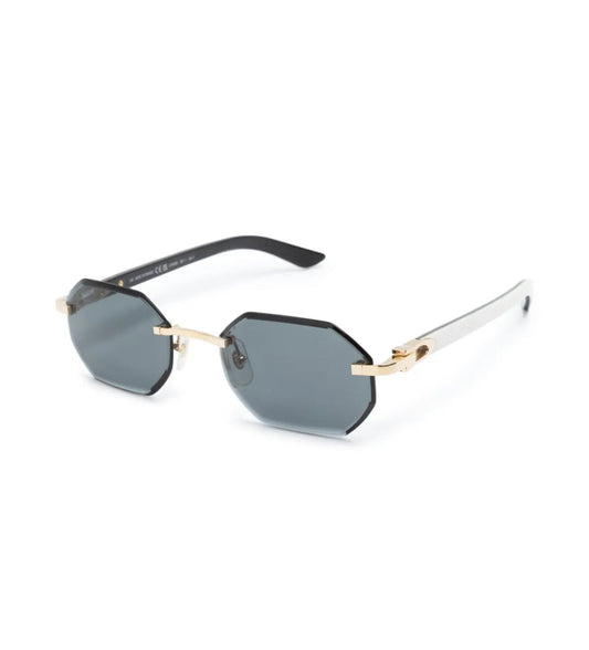 Glasses with Green White frames